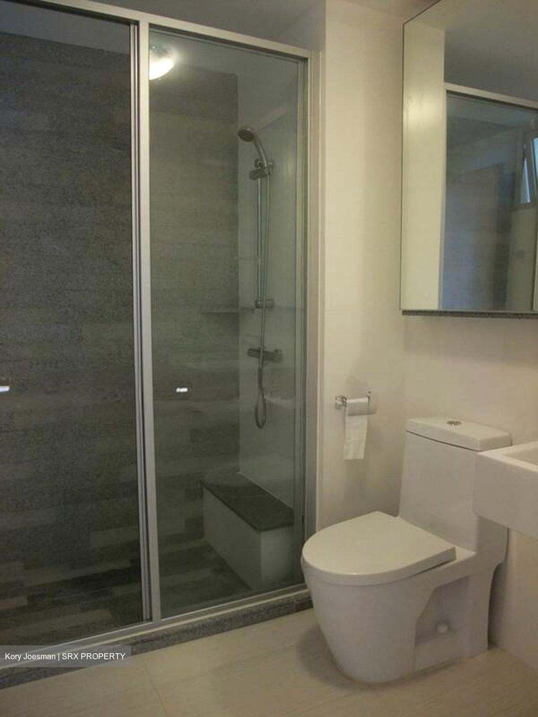 8 @ Mount Sophia (D9), Condominium #514304301
